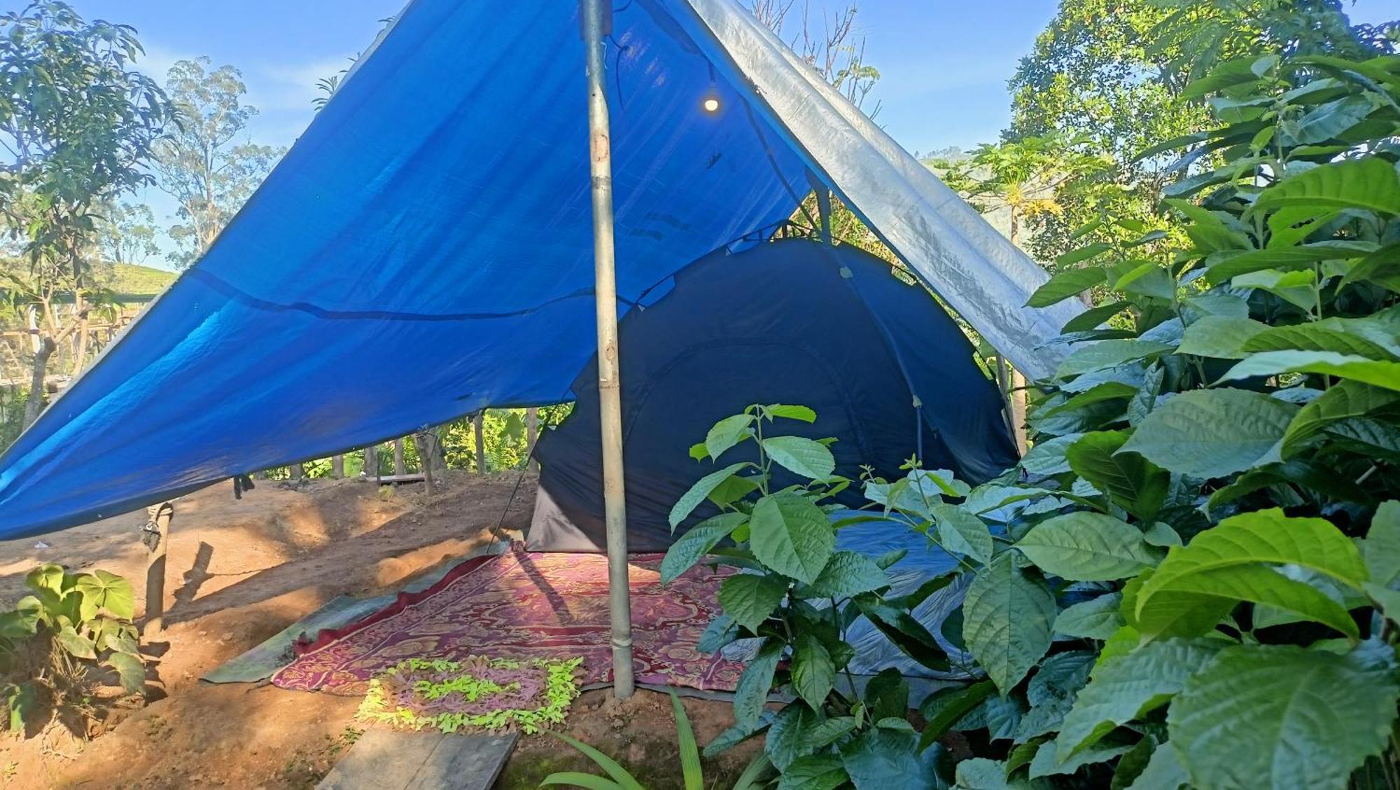 Freedom Camp Ella Hotel Екстериор снимка